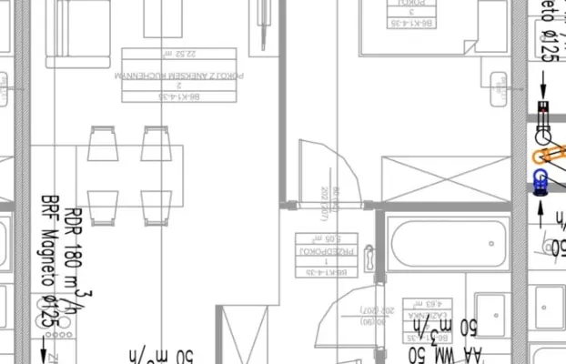 Kocięta Brytyjskie krótkowłose gotowe do odbioru. 4